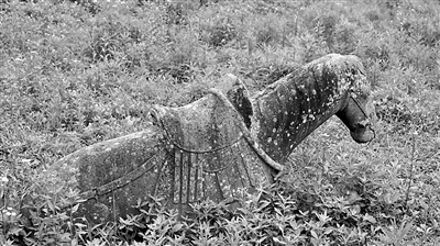 6382487_ds-qianyh_1591340551623_b.jpg